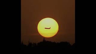 Blueberry faygo 1 hour#music #1hour #enjoy