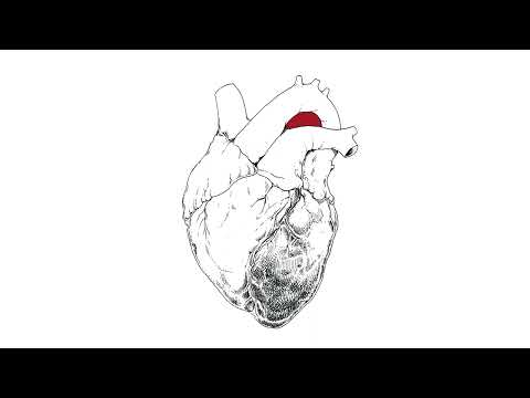 Video thumbnail for No More of This