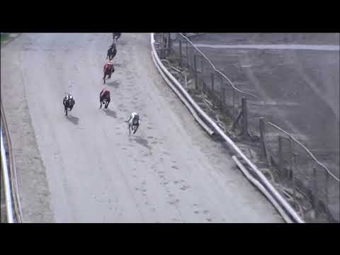 2019 NORTHERN SPRINT - HEAT 2 - T3 ROXHOLME NIDGE