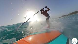 Elvis Costello the beat