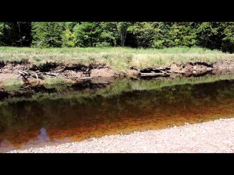 Tidal Mills on the Apple River, Nova Scotia