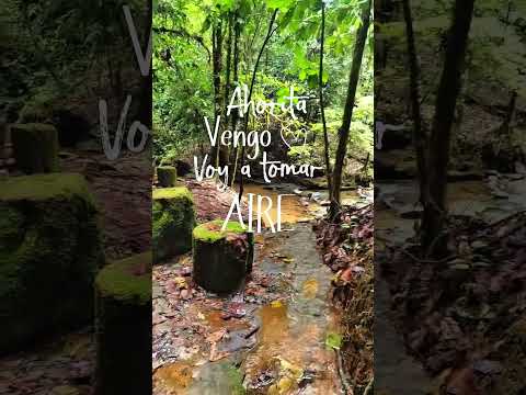 Cascada Laguna Azul el lugar que necesitabas a solo 90 minutos de Lago Agrio 💚
