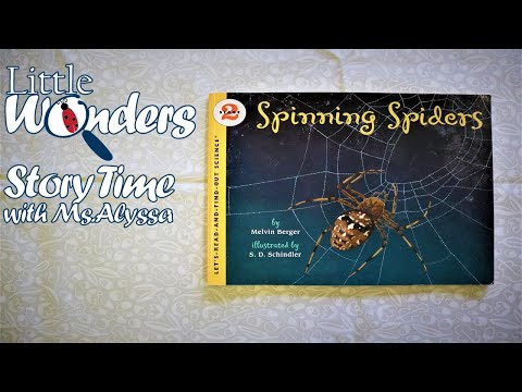 image-What are spinning spiders?