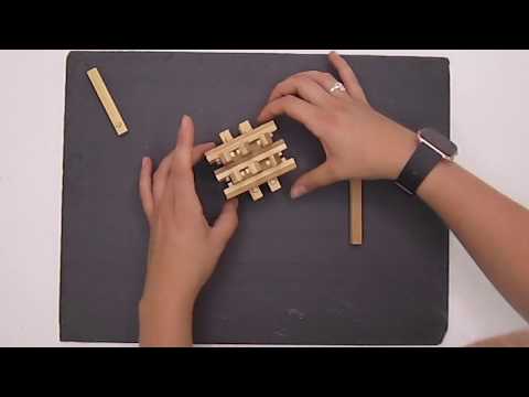 Lattice Puzzle from EcoLogicals