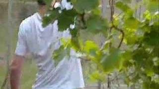 Lillix- Sweet Temptation