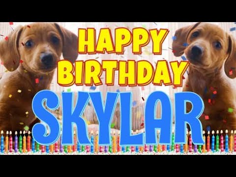 Happy Birthday Skylar! ( Funny Talking Dogs ) What Is Free On My Birthday