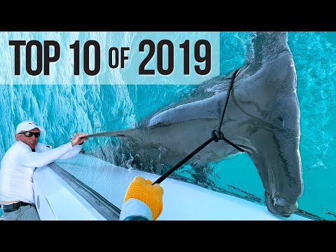 Top 10 Best Fishing Moments from 2019