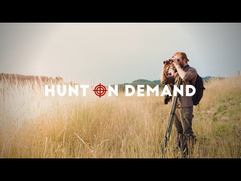 Jagen. Filmen. Staunen! Die besten Jagdvideos im Netz auf Hunt on Demand!