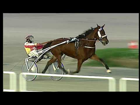 Napoli Trotto 26/11/2021 - 6ª corsa