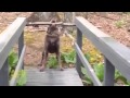 Where there's a will, there's a way 