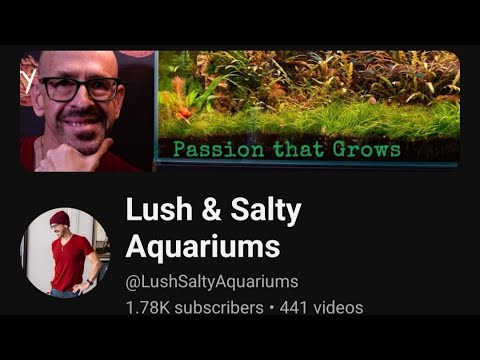 Ep 35 Mexicali and Lush & Salty Aquariums