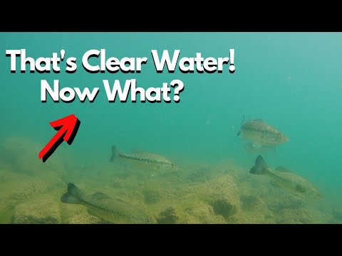 Conquer Clear Water Bass Fishing - 7 Steps to Success