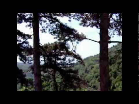 Ferrovia Genova Casella FGC il trenino di Casella sulle alture genovesi