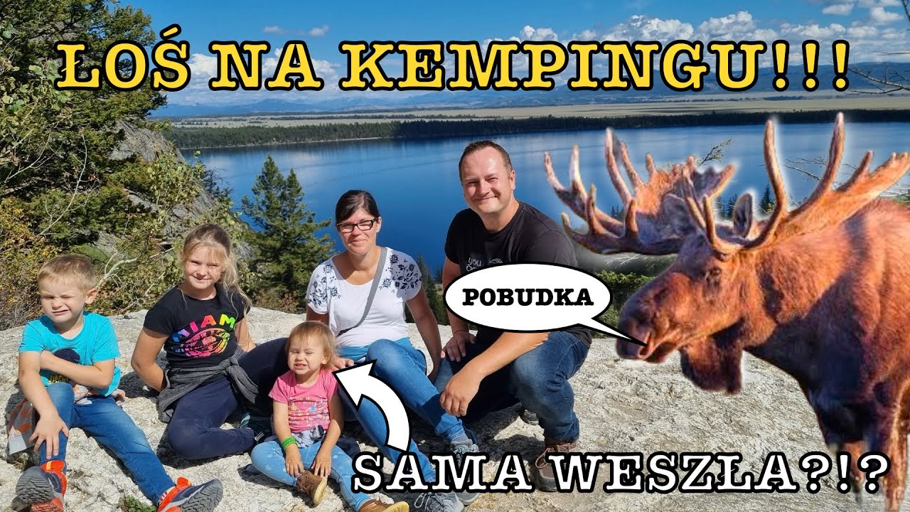 Budzi nas ŁOŚ! Pierwszy serwis kampera - czy ŚMIER...