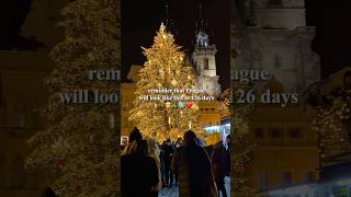 126 Days Till Christmas in Prague 🎅🎄❤️✨ 