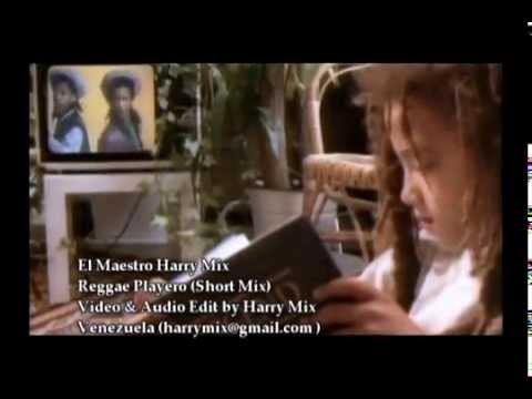 Harry Mix - Reggae Playero Short Video Mix