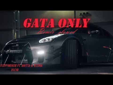 floyymenor - Gata only (dscvr remix tiktok full version)