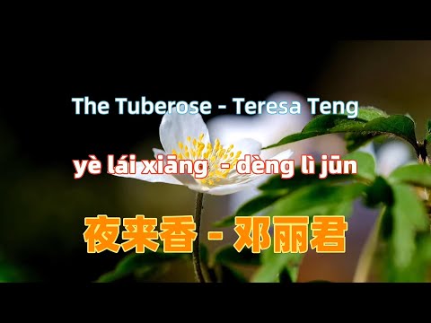 Ye Lai Xiang - Teresa Teng