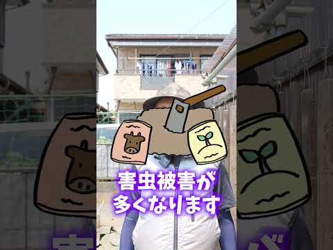  2月に室内に何を蒔く？欠かせない5つの作物  庭園