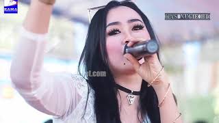 Download lagu FULL ALBUM  LAGISTA MANIA - Pantai soge Pacitan upload  Maret 2019 mp3