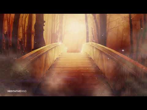 Soothing ANGELIC MUSIC for Meditation & Healing [1Hr]