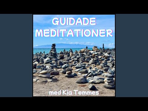 Nästa steg i livet, guidad meditation