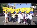 Kejriwal News Today ED | AAPs Doctors Wing Protests Against Arrest Of Arvind Kejriwal - Video