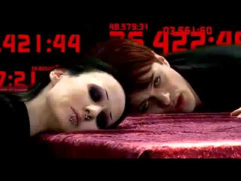 Ashbury Heights - Spiders