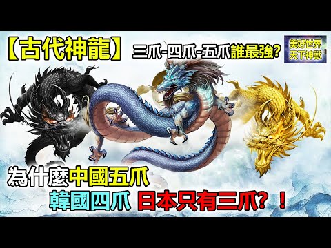 金龍意思