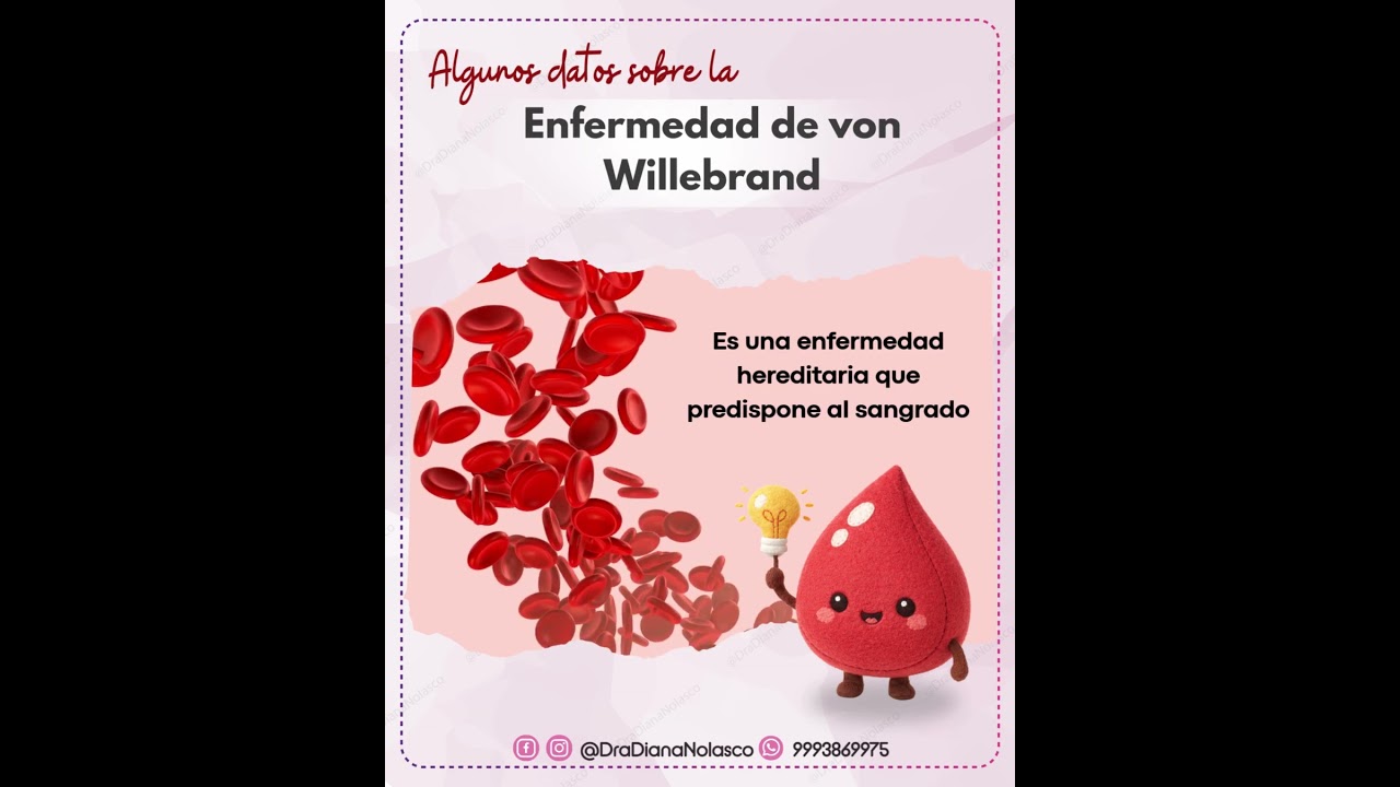 Diana Nolasco Medina-27