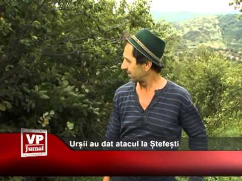 Urșii au dat atacul la Ștefești
