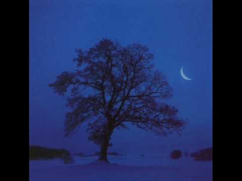 Letzte Hoffnung aus Schuberts Winterreise