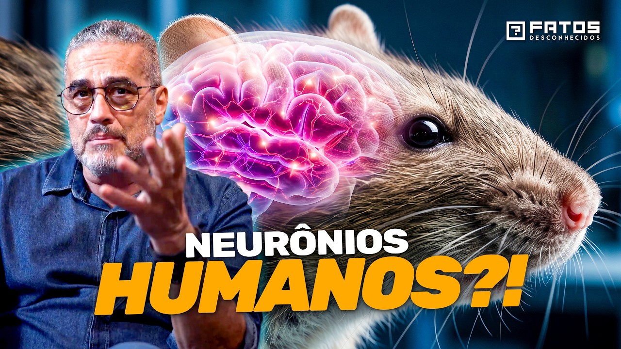 Ratos com Neurônios Humanos: A Nova Descoberta dos Cientistas