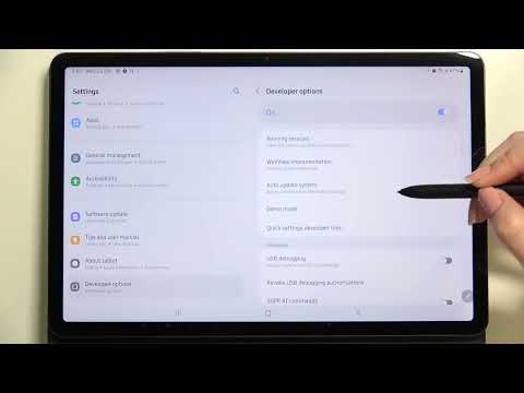 SAMSUNG Galaxy Tab S8 Auto System Updates