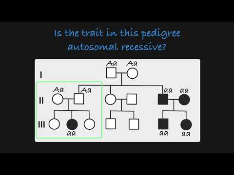 Autosomal Recessive Traits in a Pedigree