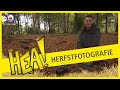 HEA! Herfstfotografie