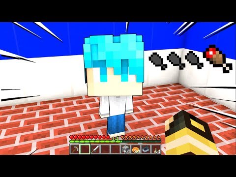 LYON INCONTRA LOKKINO PER LA PRIMA VOLTA!! - Casa di Minecraft #36