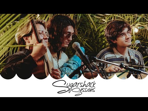 Obvious - The Polar Boys