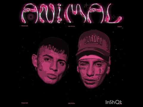 Franux BB & Neo Pistea - Animal