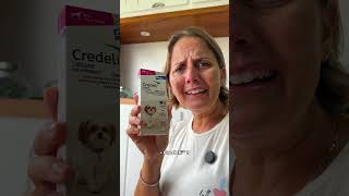 MINHA MAIOR DIFICULDADE COM MEU CACHORRO!