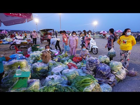 Cambodian Farmers Fresh Fruit & Vegetable Whole Sales Market, Makeshift Food Market Evening Scenes