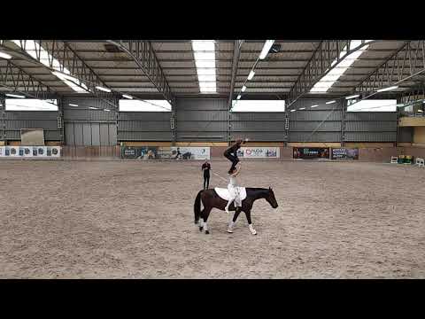 Akrobaci na koniu - Wrocław tor wyścigów konnych - 03