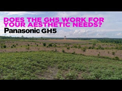 GH5 Aesthetics - Looking out for story despite the shortcomings - Does the GH5 meet your needs?