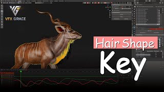 Hair Shape Key video thumbnail