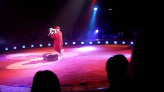 Clown Auftritt im Zirkus Knie Hund verkleidet als Elefant 2008 in Schaffhausen