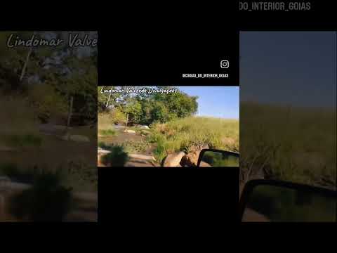 Paisagem de Ivolândia-Goiás