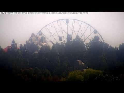Live webcam of Disneyland Cam