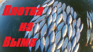 Ловля плотвы на озерах по первому льду