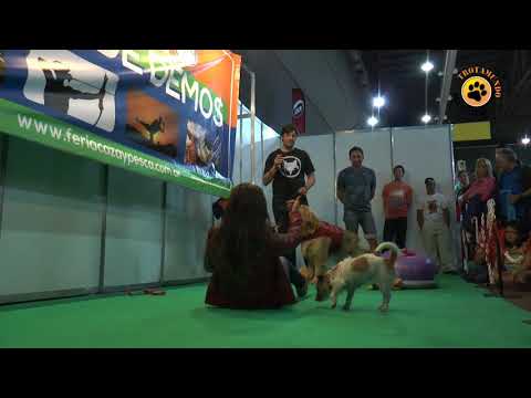 Patita Patita con Marisol Rey