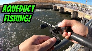 I Ran Into A School of Stripers!! | CA Aqueduct Fishing | Delta Mendota Canal | Iu Mien Fishing